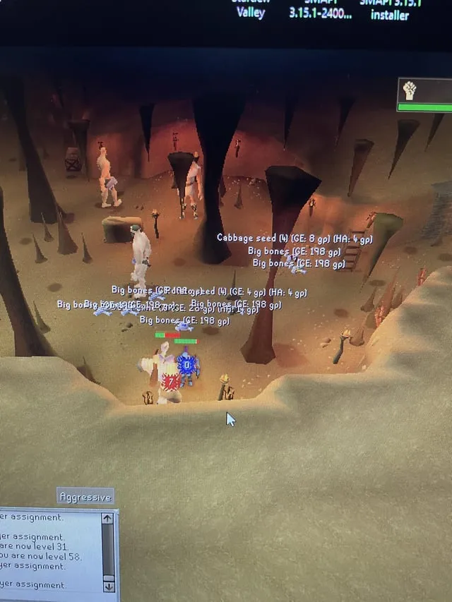How to get rid of the text for items on the ground  rosrs