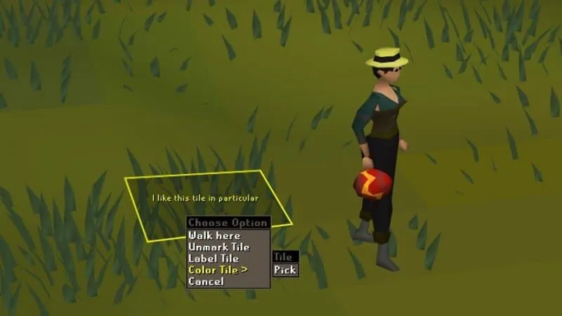 OSRS Mobile Tile Markers Ultimate Guide