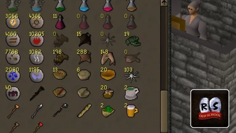 OSRS Food for Kitten Best Choices to Keep Your Pet Thriving
