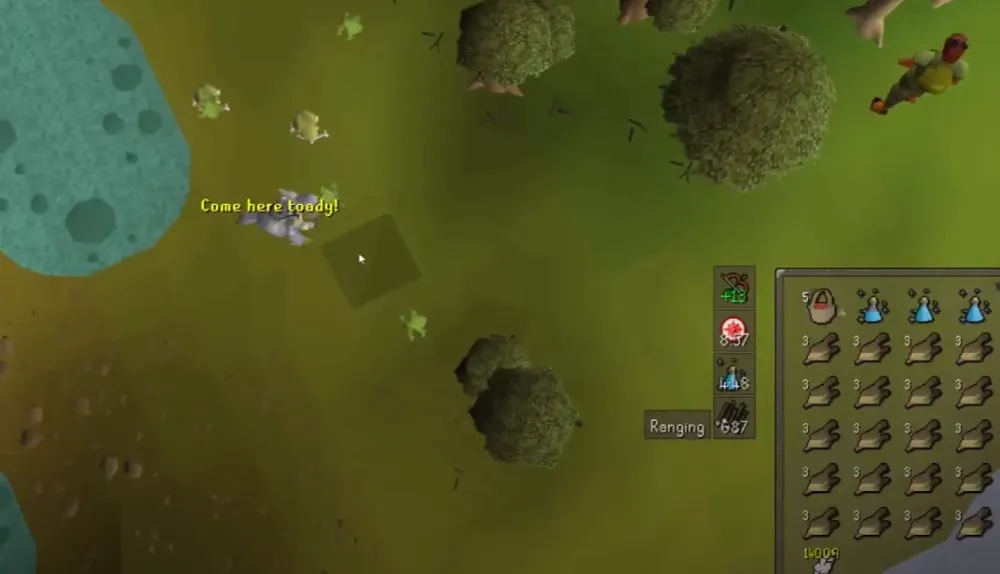 OSRS Chompy Bird Hunting Elite Void Guide  NovaMMO