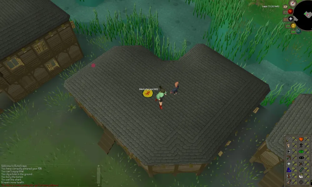 Insuring a Pet in OSRS A Comprehensive Guide for Players