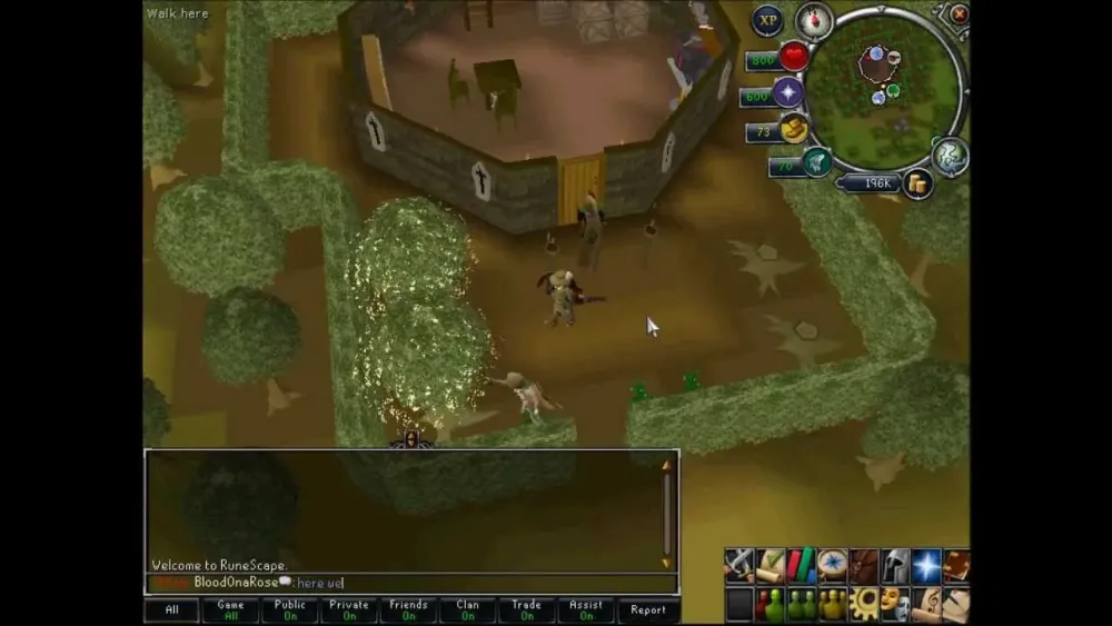Magic Tree Roots OSRS Ultimate Guide