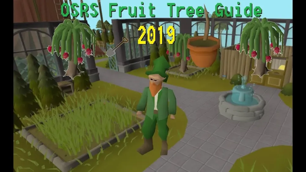 OSRS Basket of Oranges Ultimate Guide