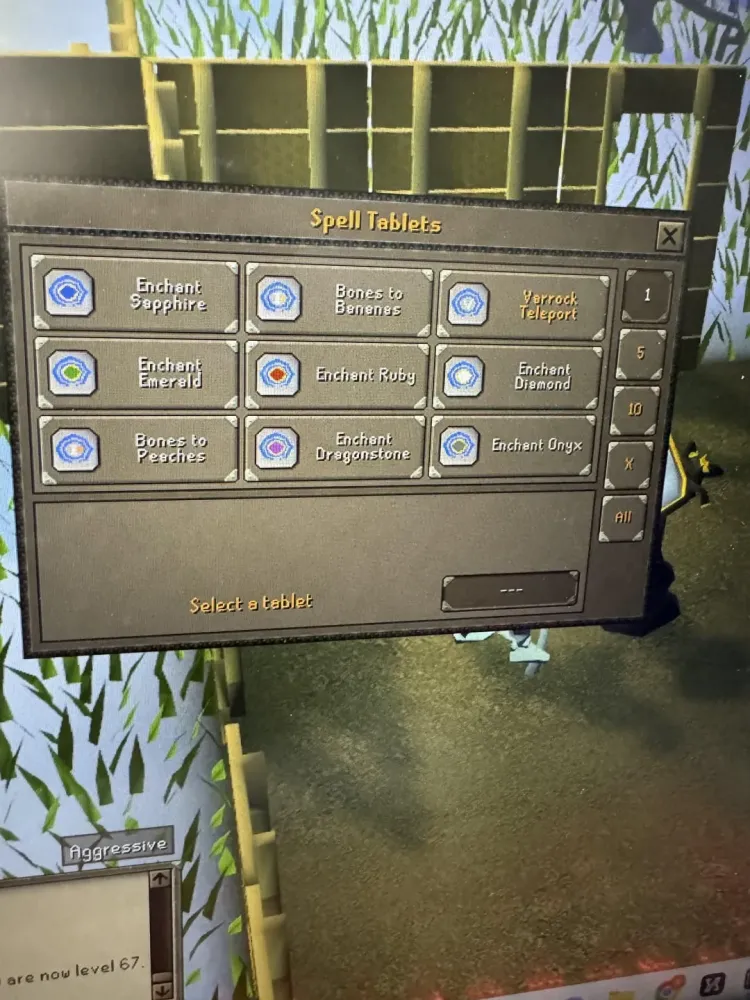 House Teleport Option  rosrs