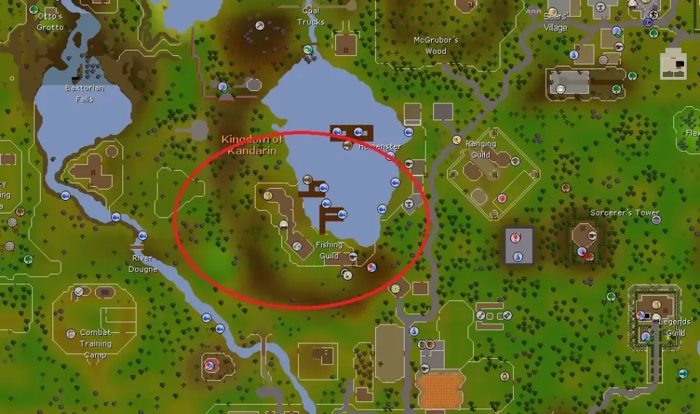 OSRS Fishing Guild Requirements Your Ultimate Guide to Access and Benefits
