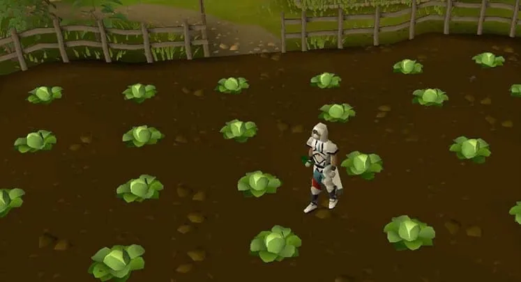 OSRS Farming Training Guide Fastest Methods To Level 99  Rune Fanatics