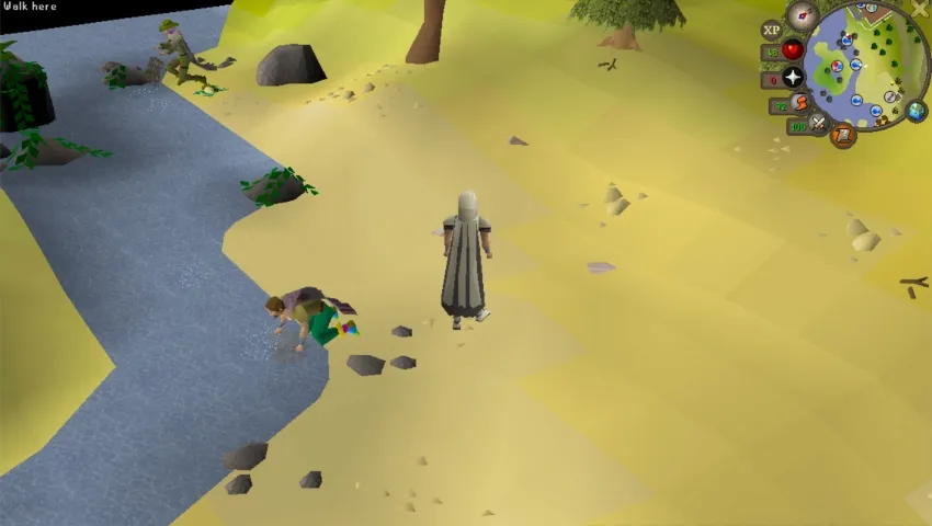 Best Places to Fish in OSRS for Fast XP and Profit