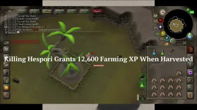 Fastest Hespori Kill OSRS Guide for Speedrunners