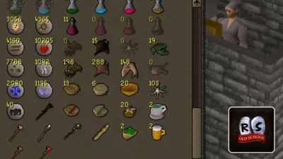OSRS Food for Kitten Best Choices to Keep Your Pet Thriving