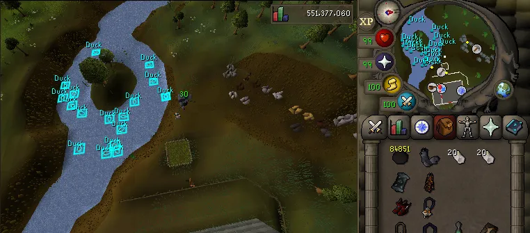 Birds Slayer Task OSRS Guide for Beginners