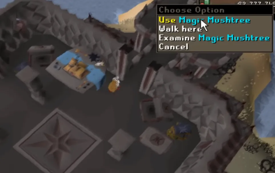 OSRS Birdhouse Guide With Fastest Route  NovaMMO