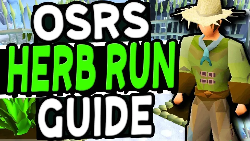 OSRS Best Herb Drops Ultimate Guide