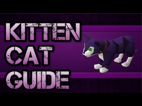 How to Get Cat Back OSRS