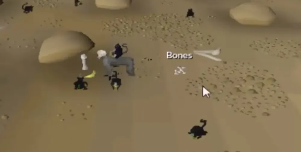OSRS Top 20 Best AFK Skilling Methods  NovaMMO