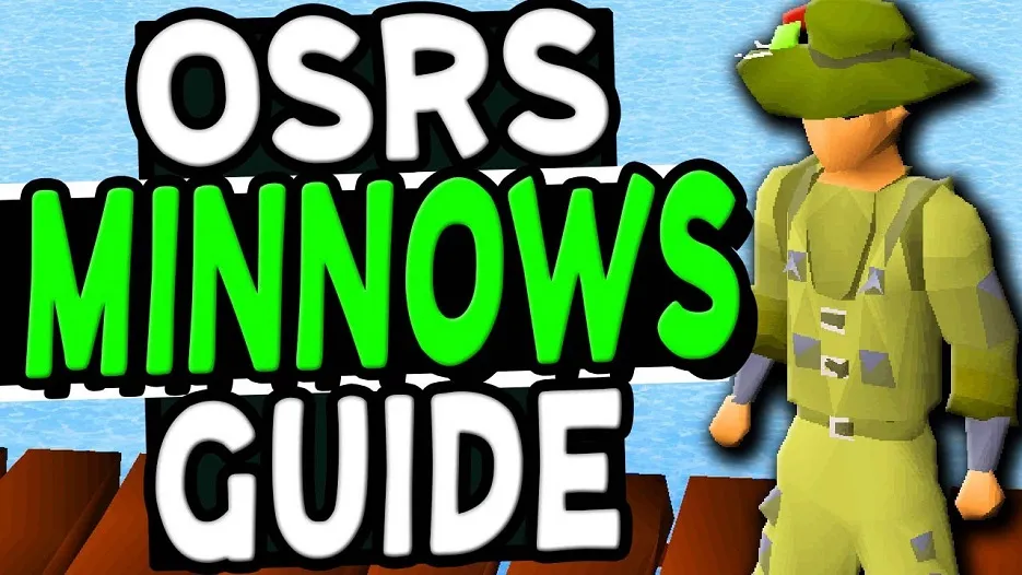 Is Minnow Fishing Worth It in Old School RuneScape