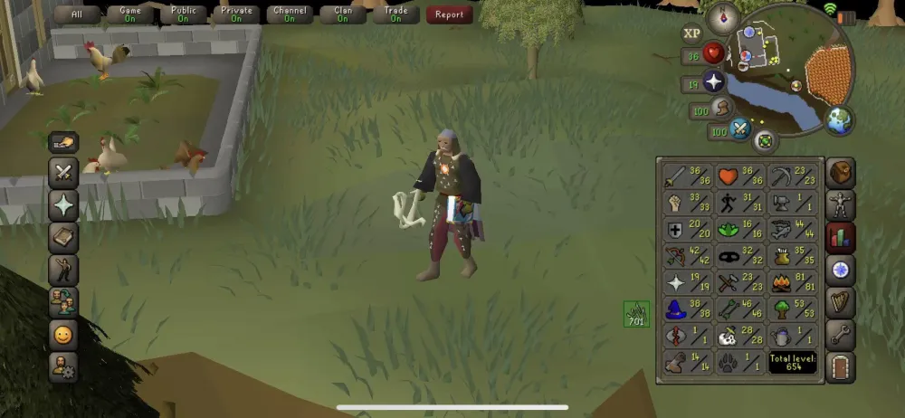 Low Level Ironman Money Making OSRS