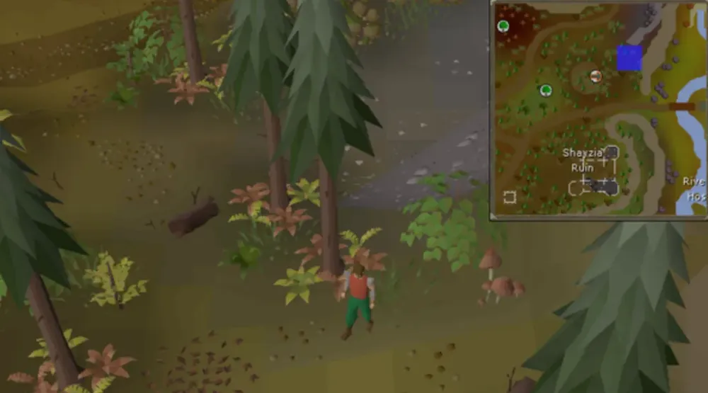Clue Hunter Garb OSRS – Ultimate Guide to Unlocking This Unique Outfit