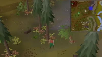 Clue Hunter Garb OSRS – Ultimate Guide to Unlocking This Unique Outfit