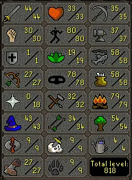 Vouched GREAT STARTER IRONMAN  80 Agility Thieving FM 