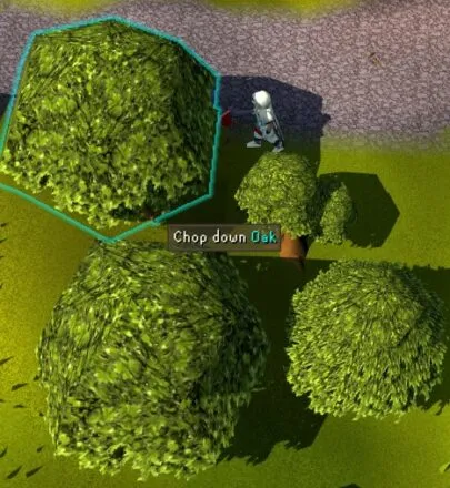The Best Place to Cut Oak Trees in OSRS  DiamondLobby