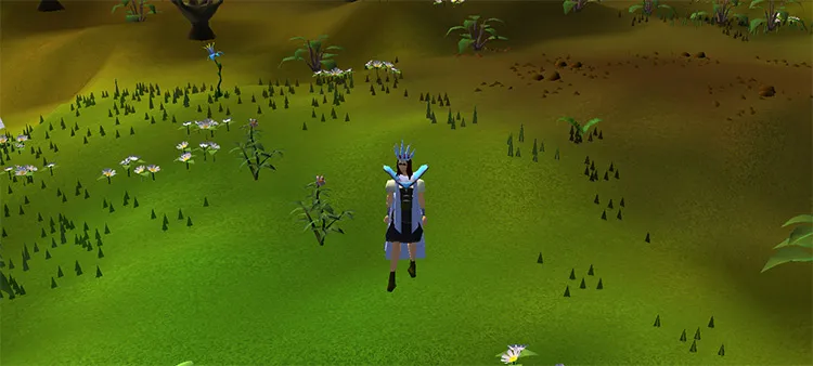 OSRS Chompy Bird Hunting Guide  Tips  FandomSpot