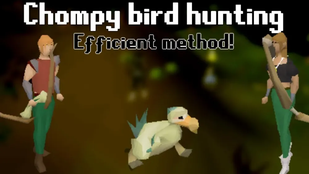 Chompy Bird Hunting Guide  Efficient method  OldSchool Runescape 