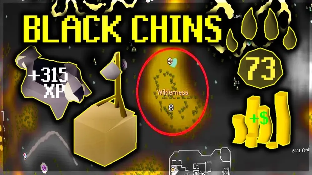 OSRS Black Chinchompa Guide for Efficient Hunter Training and Profit