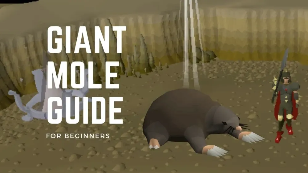 Giant mole guide osrs