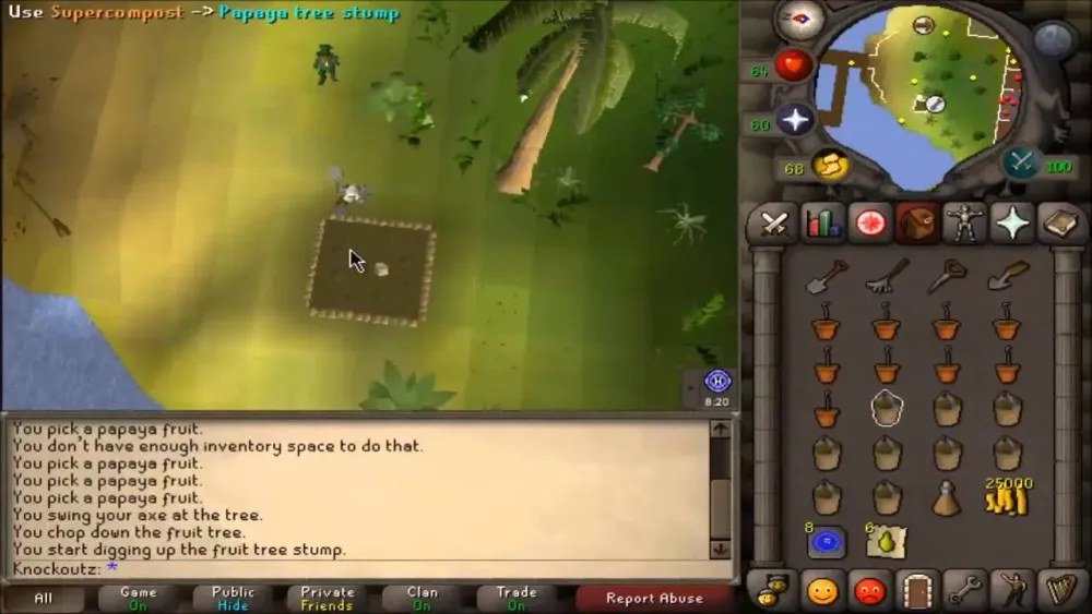 OSRS Papaya Tree Farming Guide for Maximum Profit and XP