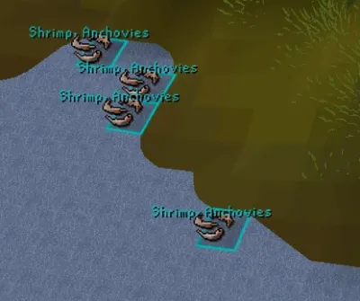 Where to Catch Sardines in OSRS – Best Locations and Tips