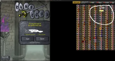 OSRS If You Look Closely Enough Hidden Details and Secrets