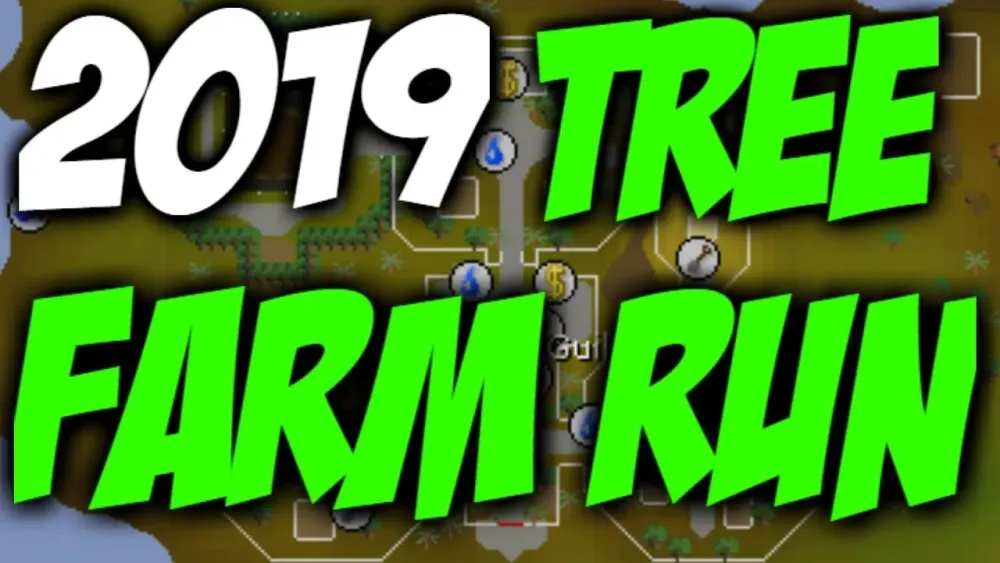 UPDATED HOW TO DO A TREE FARM RUN IN OSRS FARMING GUILD INCLUDED 