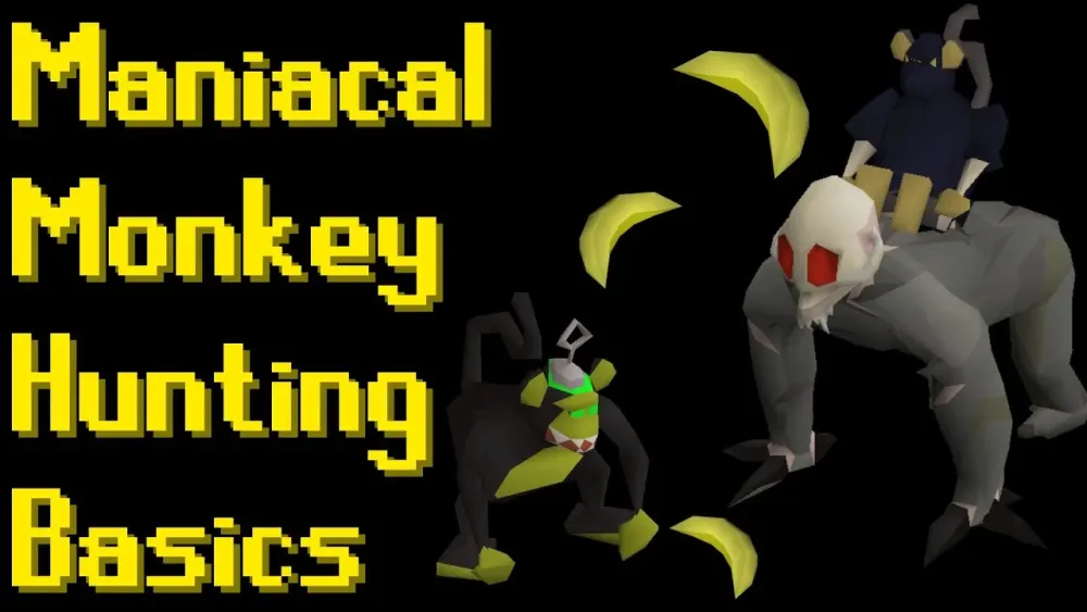 Basic Maniacal Monkey Hunting Guide 2021 OSRS  YouTube