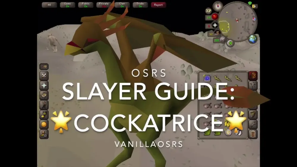 OSRS Drakes Slayer Task Guide for Efficient Kills and Rewards
