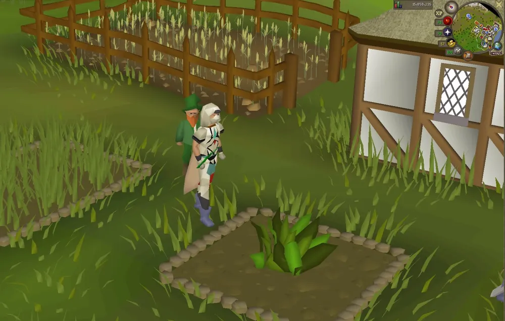 How to Plant Seeds in Old School RuneScape A Step by Step Guide