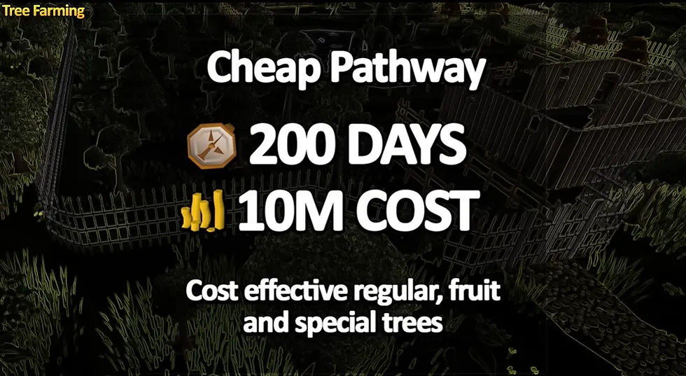 Complete Tree Farming Guide for OSRS  Tree Run Guide
