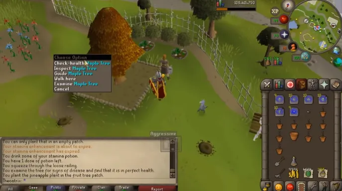 OSRS Farming Tree Run Guide for Fast XP