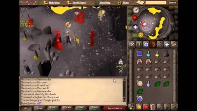 OSRS Elder Chaos Robes Ultimate Guide