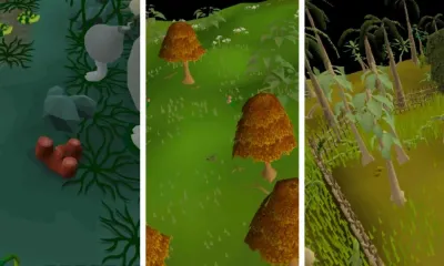 Mahogany Tree OSRS Locations Guide for Efficient Woodcutting