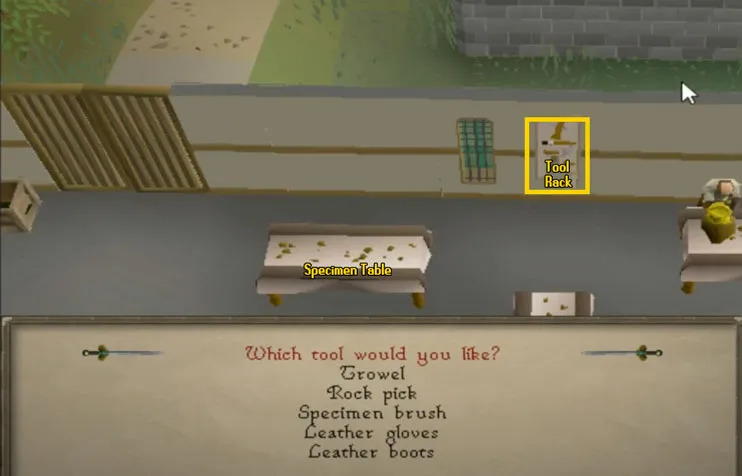 OSRS Ammonite Crabs Guide  How To Get There  Training Methods  OSRS 
