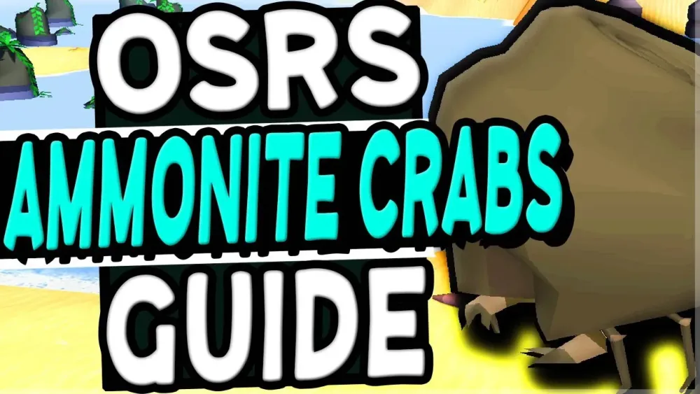 Ammonite Crabs OSRS AFK Training Guide for Efficient Combat XP