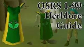99 Herblore Guide OSRS  BoboMart
