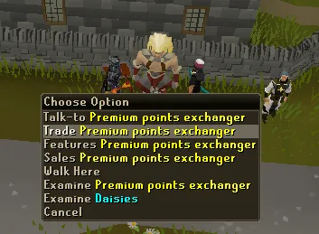 OSRS Torva Full Helm Ultimate Guide