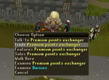 OSRS Torva Full Helm Ultimate Guide