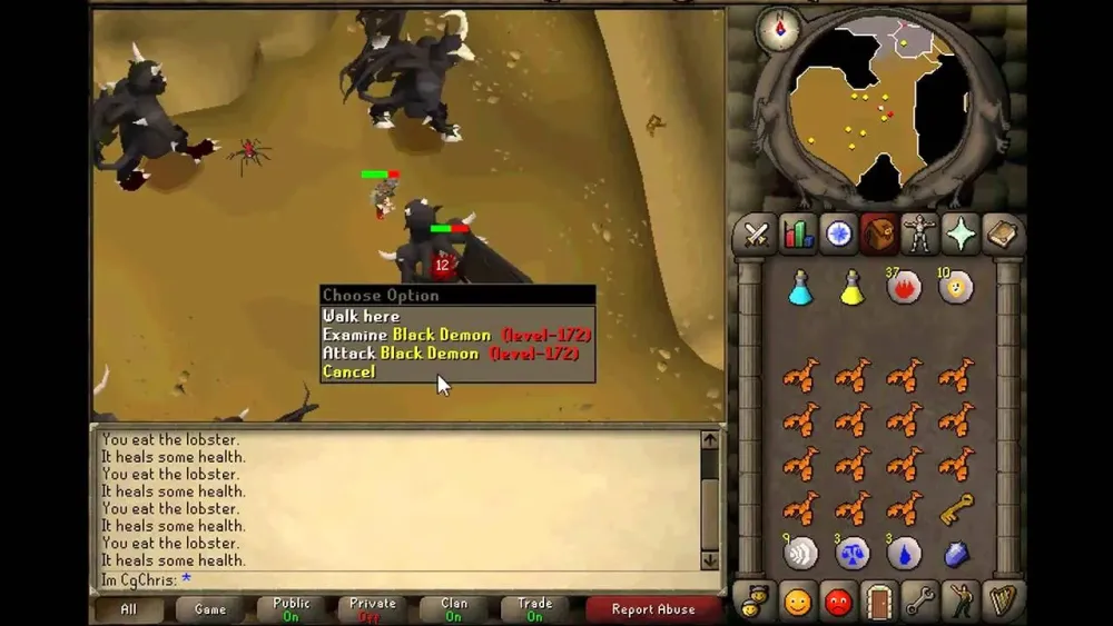 oldschool runescape slayer task black demons  YouTube