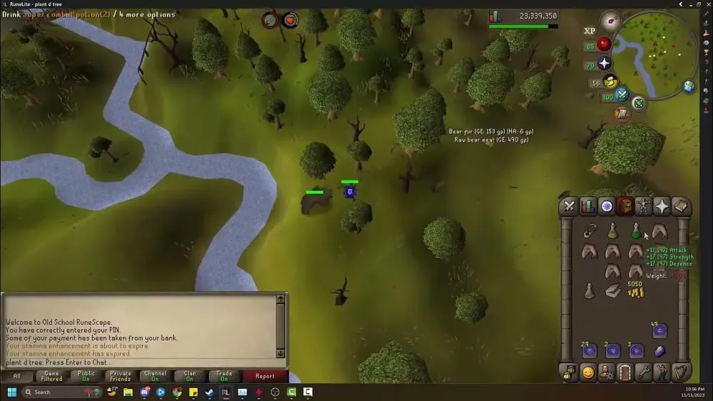 OSRS Quick Guide  Bears  YouTube