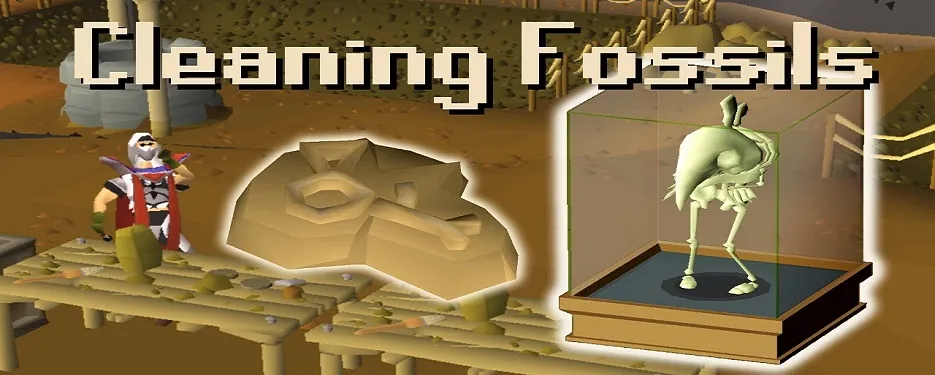 Fastest Way to Get Fossils in OSRS