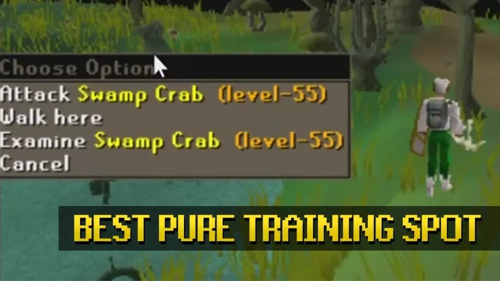 OSRS Right Eye Patch Guide for Old School RuneScape Players