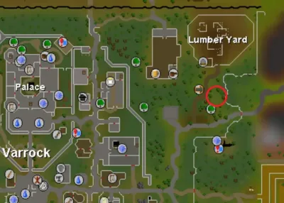 Black Dragons Wilderness OSRS Ultimate Guide