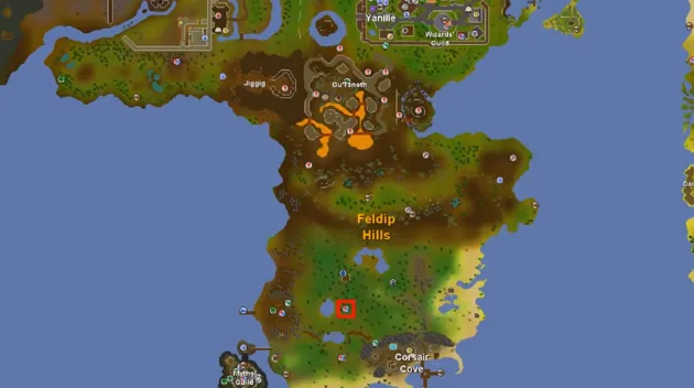 Fastest Hunter XP in OSRS ft Thurco